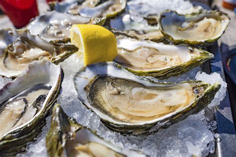 best oysters in san diego